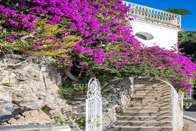 Maison Arienzo à Positano, 500 m de la mer - Photo 2