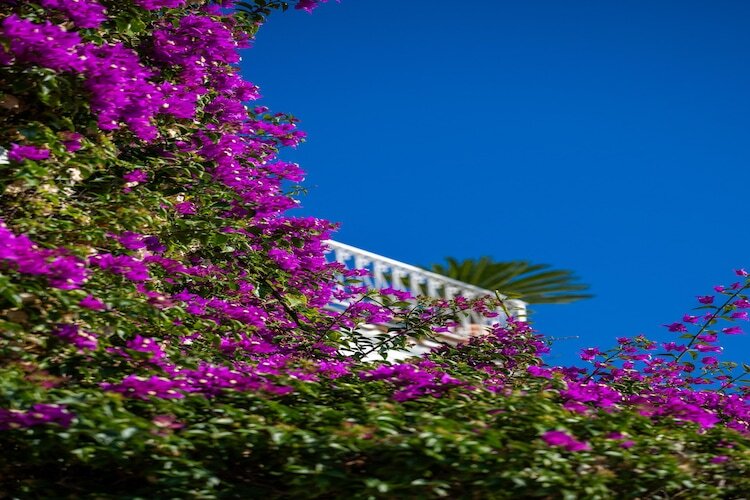 Maison Arienzo à Positano, 500 m de la mer - Photo 5