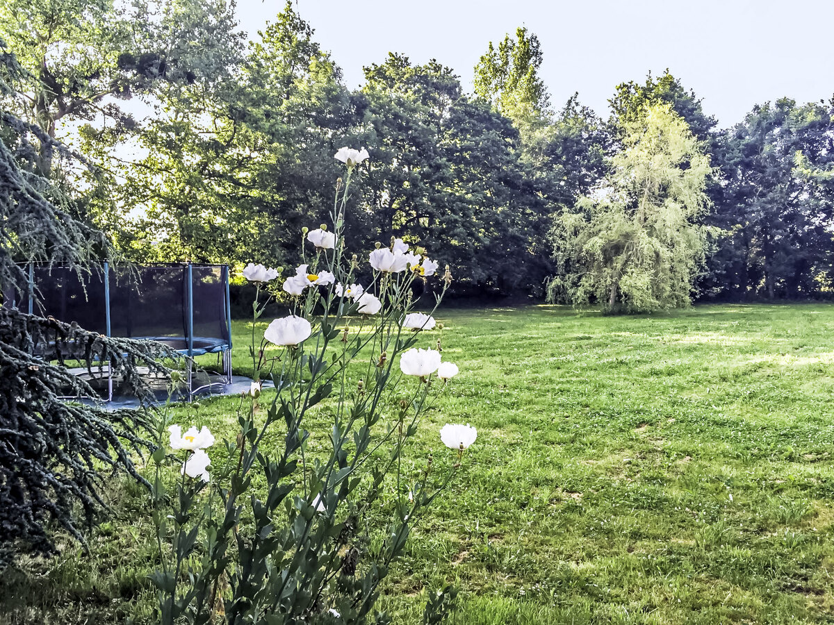 La Gicquelière – Maison 8 pers. Saint-Pair-sur-Mer - Photo 52