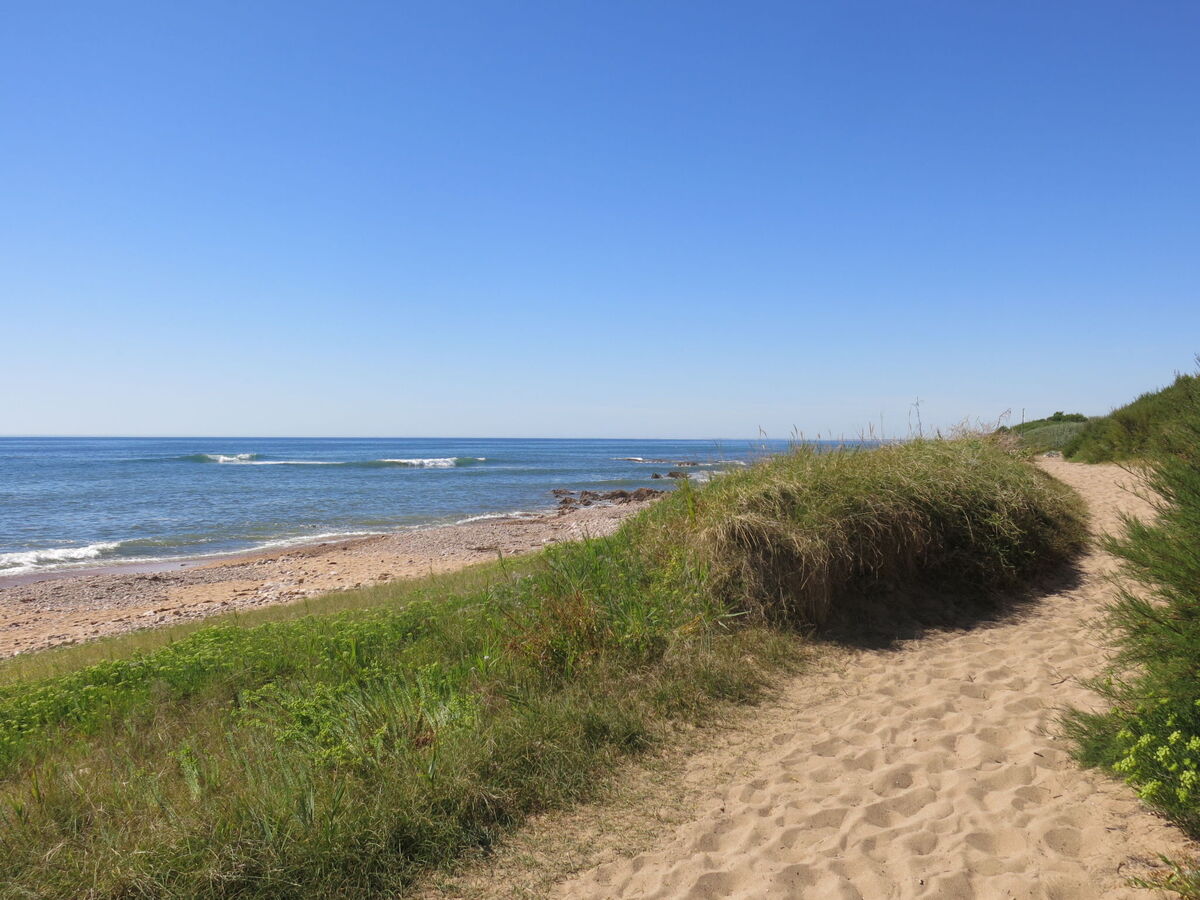 Le Goeland Argenté – Maison 50 m² Les Sables d'Olonne - Photo 20