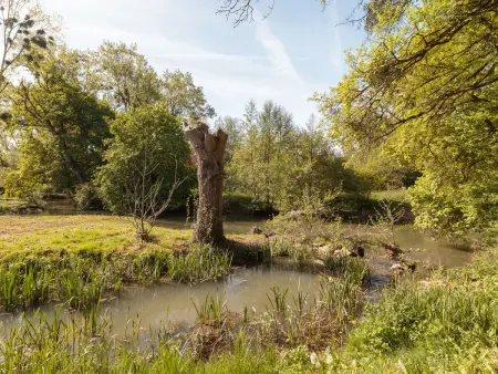 Moulin De Mois – Maison 10 pers. avec piscine à Civray - Photo 55