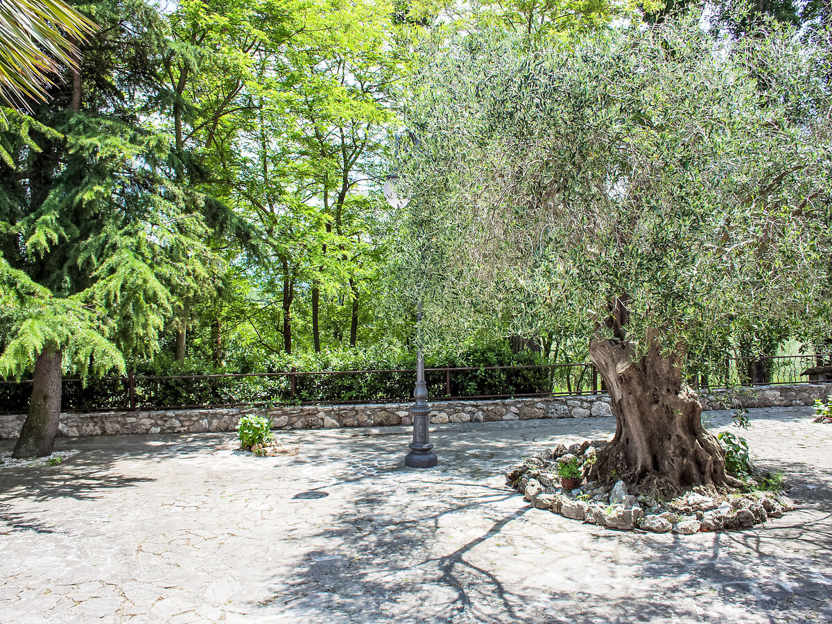 Villa Olivo secolare, 10 personnes avec piscine à Todi - Photo 19