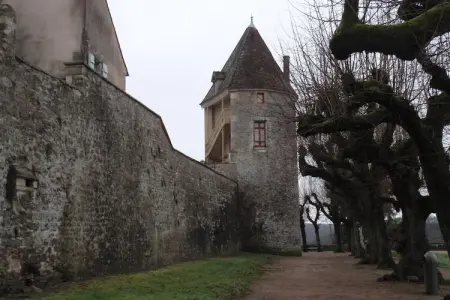 La Burgunde, Maison à Vault-de-Lugny près de forêt - Photo 29