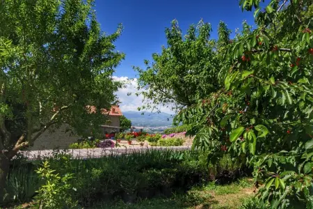 Clematilda, gîte rural toscan avec piscine : photo 12