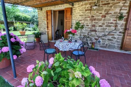 Clematilda, gîte rural toscan avec piscine : photo 25