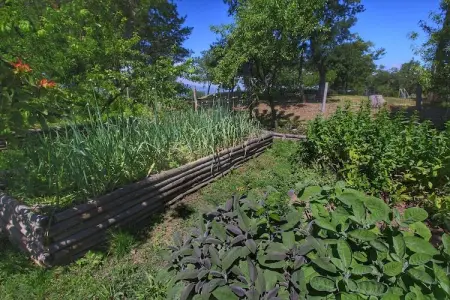 Clematilda, gîte rural toscan avec piscine : photo 29