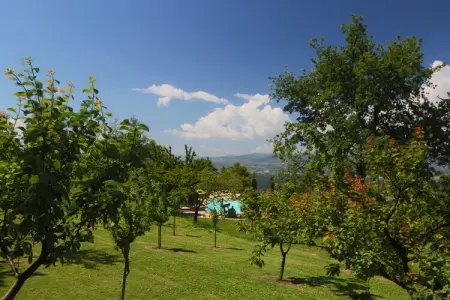 Gite Glici en Toscane, piscine et vue vallée : photo 30
