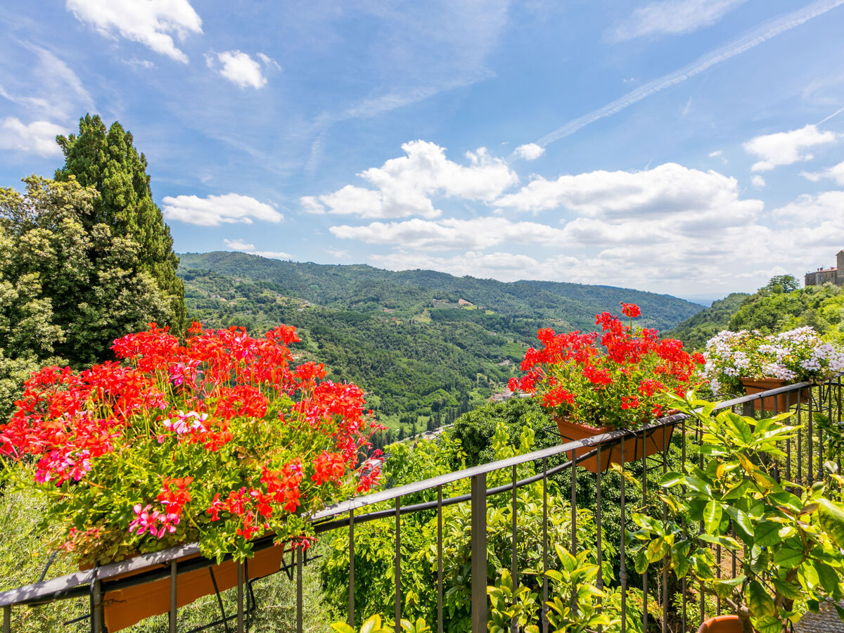 Appartement Poggetto 1 à Pescia, terrasse et piscine - Photo 30