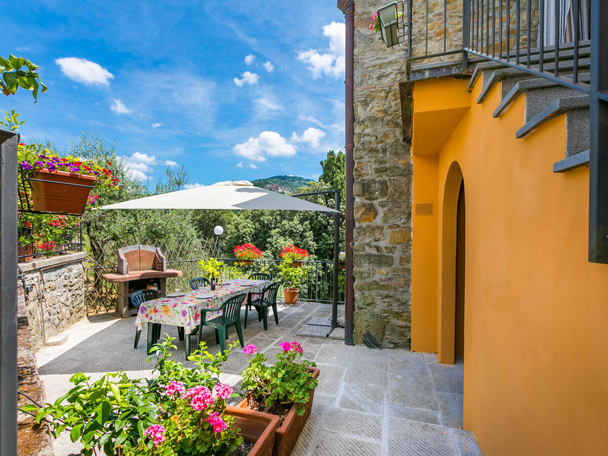 Appartement Poggetto 1 à Pescia, terrasse et piscine - Photo 33