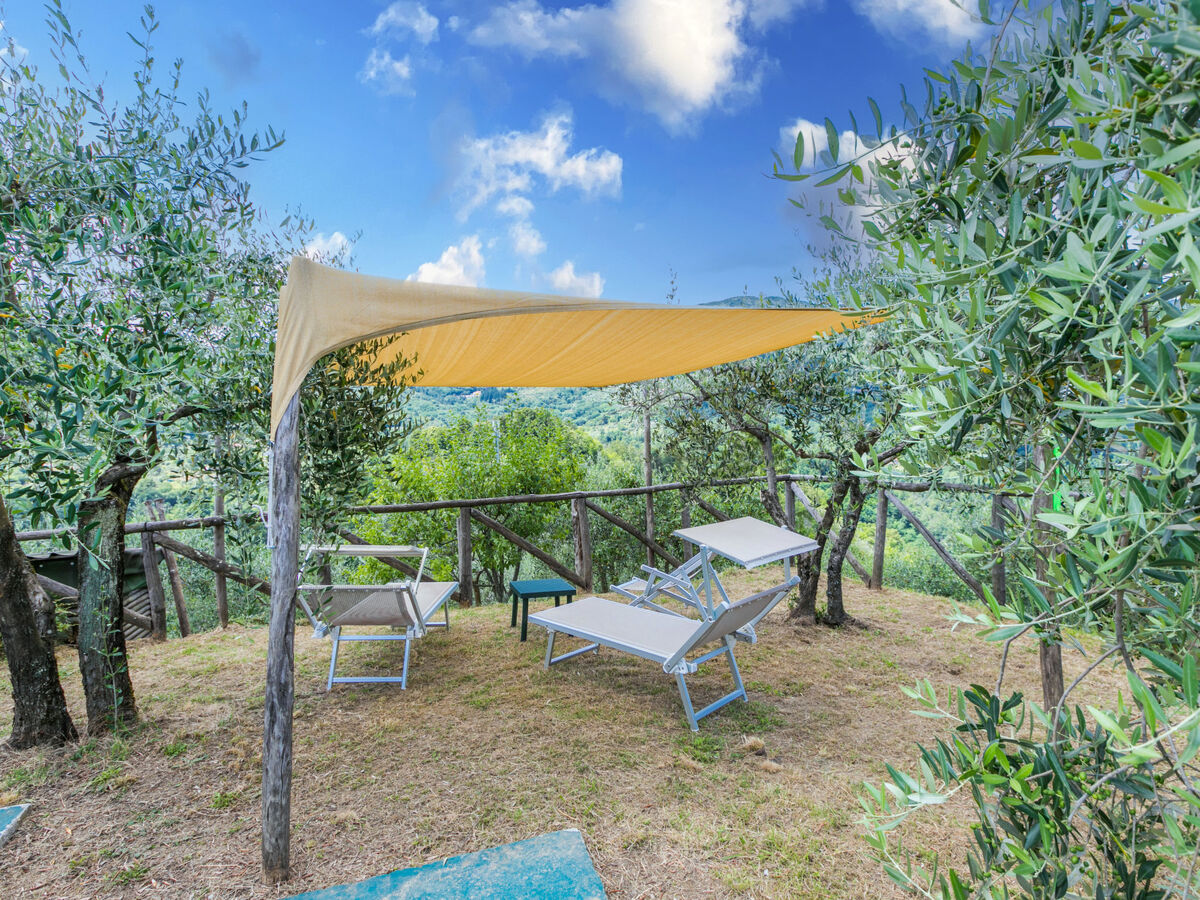 Appartement Poggetto 1 à Pescia, terrasse et piscine - Photo 38