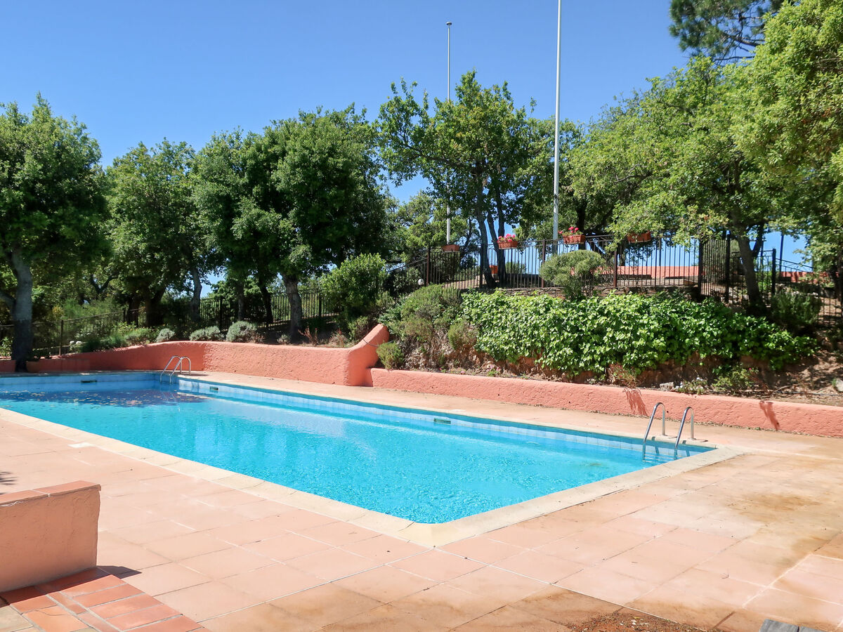 Appartement Village de Silhouette, vue mer à Grimaud - Photo 5