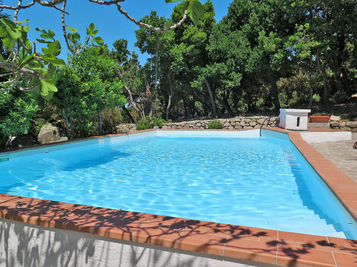 Villa Ciuffini - 8 pers., vue mer, accès 4x4 - Photo 3