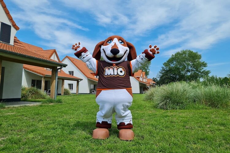 Villa 6 personnes à Berck-sur-Mer, animaux acceptés - Photo 15