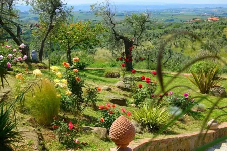 Leonardo, villa à Vinci avec piscine et jardin : photo 11