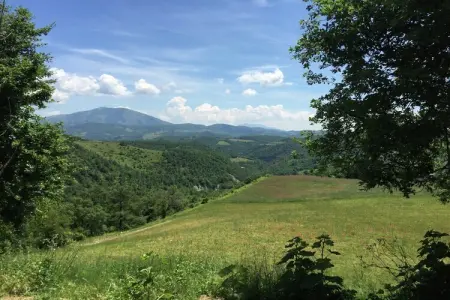 Tartufo, Ferme à Apecchio avec piscine et spa - Photo 5