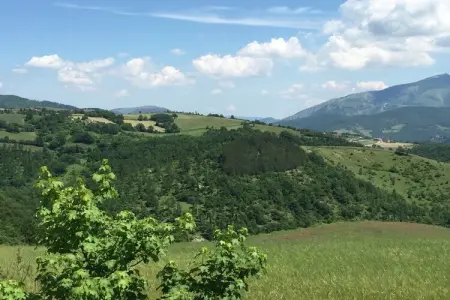 Tartufo, Ferme à Apecchio avec piscine et spa - Photo 25
