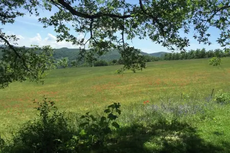Tartufo, Ferme à Apecchio avec piscine et spa - Photo 27