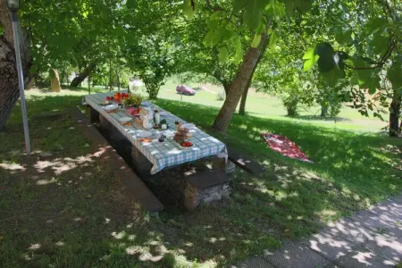 Tartufo, Ferme à Apecchio avec piscine et spa - Photo 31