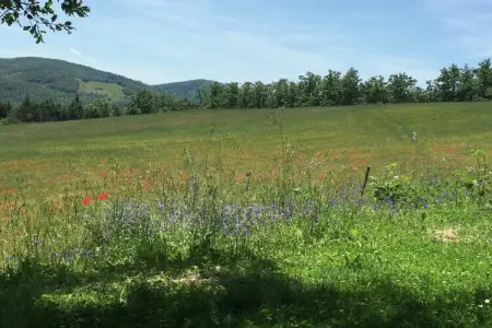 Tartufo, Ferme à Apecchio avec piscine et spa - Photo 34