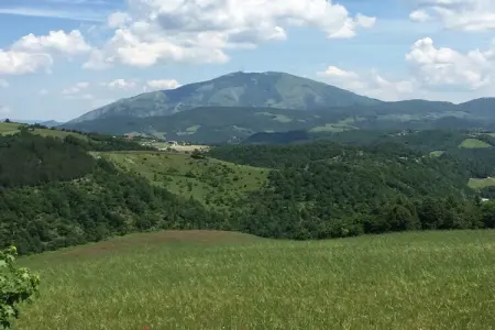 Tartufo, Ferme à Apecchio avec piscine et spa - Photo 36