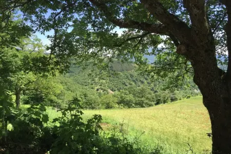 Tartufo, Ferme à Apecchio avec piscine et spa - Photo 37