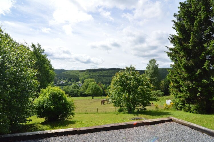Chantemerle, maison 6 pers. en forêt ardennaise - Photo 25