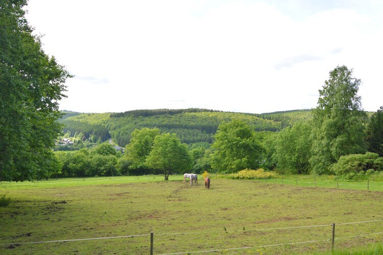 Chantemerle, maison 6 pers. en forêt ardennaise - Photo 28