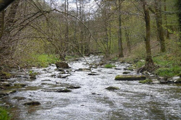 Chantemerle, maison 6 pers. en forêt ardennaise - Photo 37