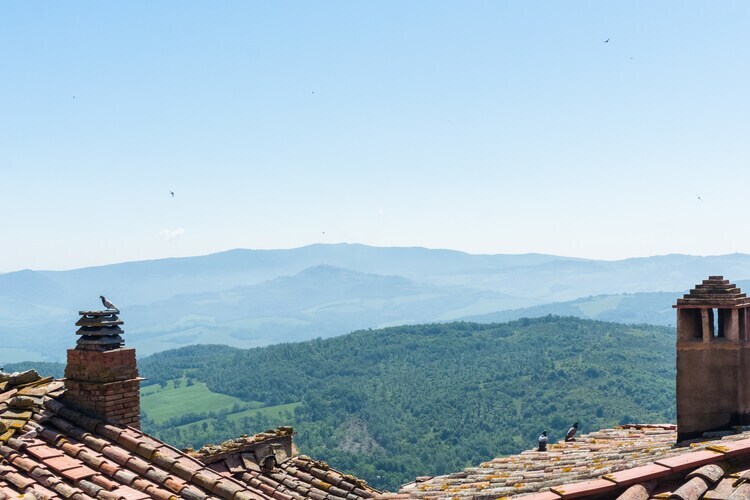 Affreschi – Maison 2 pers. vue forêt à Montecastelli Pisano - Photo 19