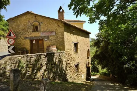 Affreschi – Maison 2 pers. vue forêt à Montecastelli Pisano : photo 28