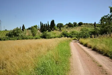 Affreschi – Maison 2 pers. vue forêt à Montecastelli Pisano : photo 29
