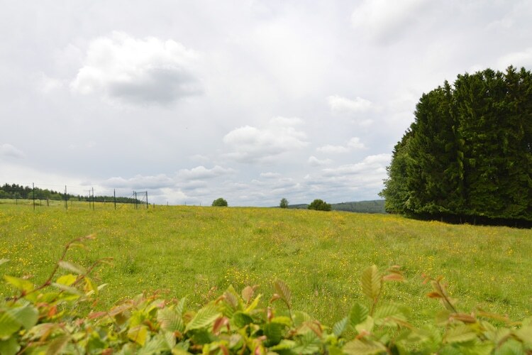 Maison Vencimont vue vallée, jardin et parc à cerfs - Photo 20