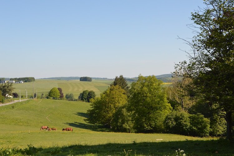 Maison Vencimont vue vallée, jardin et parc à cerfs - Photo 27