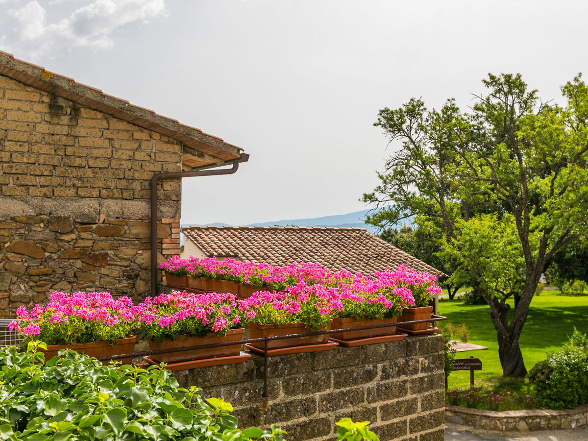 Santa Marta – Gîte rustique 5 pers. en Toscane - Photo 45