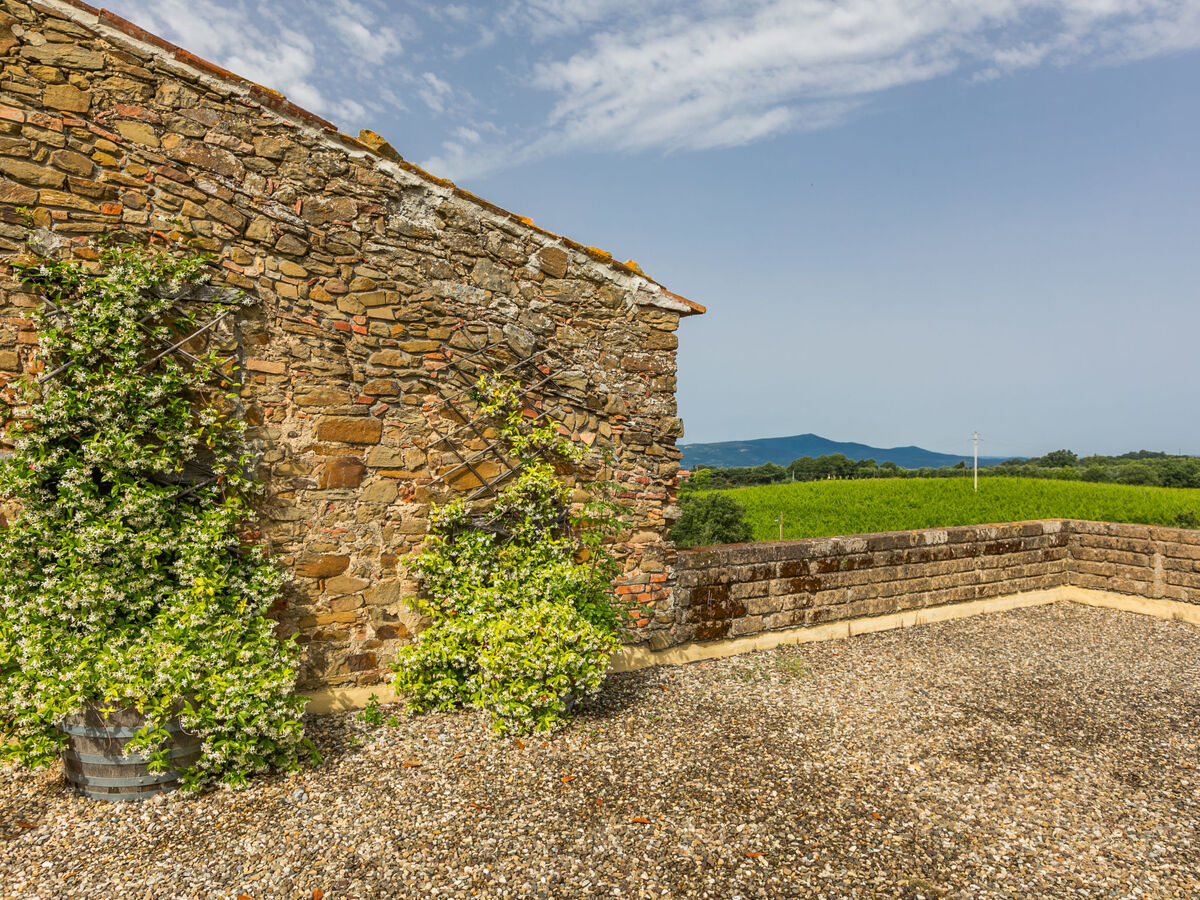 Santa Marta – Gîte rustique 5 pers. en Toscane - Photo 66