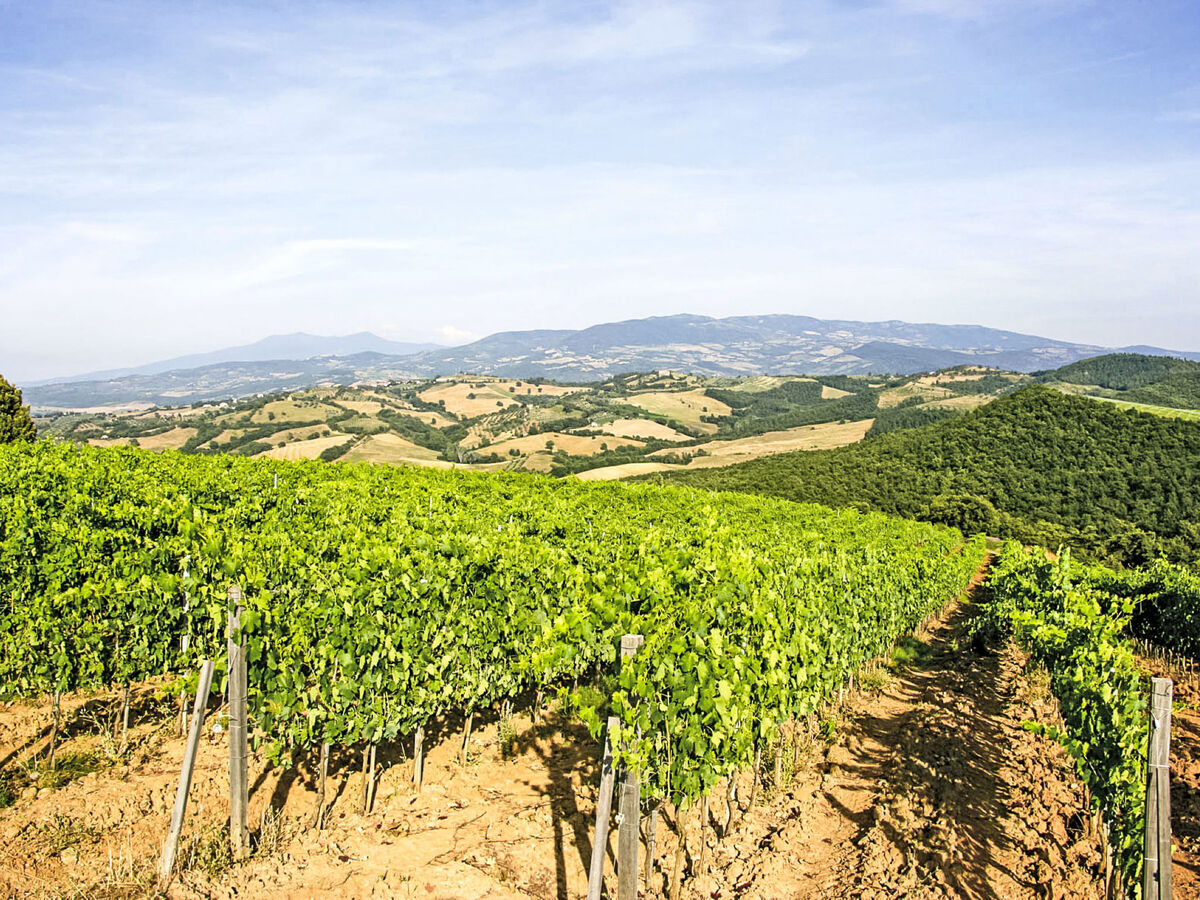 Ciliegiolo – Gîte 2 pers. en Toscane rurale - Photo 7