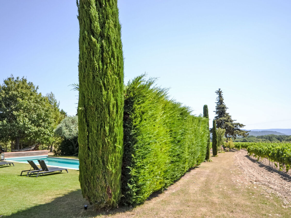 L'Oustaou dei Figo – Mas 17e siècle, piscine, 9 pers. - Photo 24