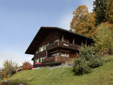Helene Apt.Diana, Chalet 9 personnes à Wengen - Photo 31