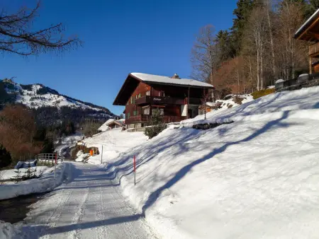 Helene Apt.Diana, Chalet 9 personnes à Wengen - Photo 34