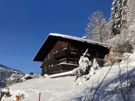 Helene Apt.Diana, Chalet 9 personnes à Wengen - Photo 35