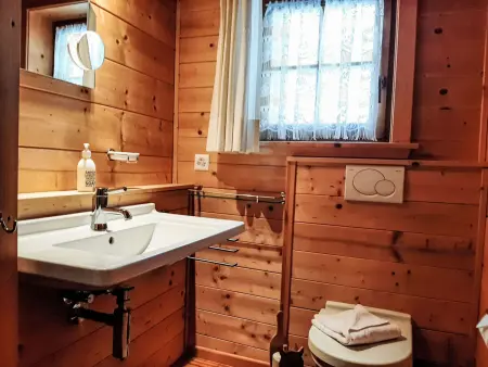 Alpina Apt. CH, Chalet 4 personnes à Wengen - Photo 13