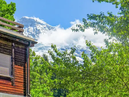 Alpina Apt. CH, Chalet 4 personnes à Wengen - Photo 15
