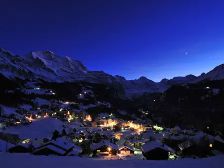 Alpina Apt. CH, Chalet 4 personnes à Wengen - Photo 17