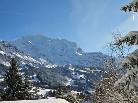 Alpina Apt. CH, Chalet 4 personnes à Wengen - Photo 21