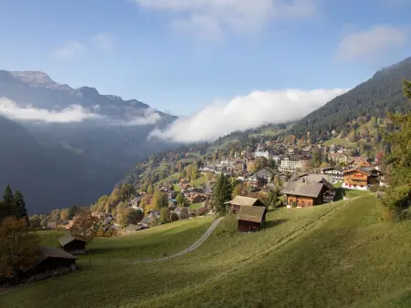 Alpina Apt. CH, Chalet 4 personnes à Wengen - Photo 22