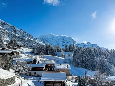 Alpina Apt. CH, Chalet 4 personnes à Wengen - Photo 24