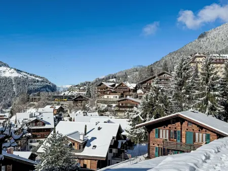 Alpina Apt. CH, Chalet 4 personnes à Wengen - Photo 25