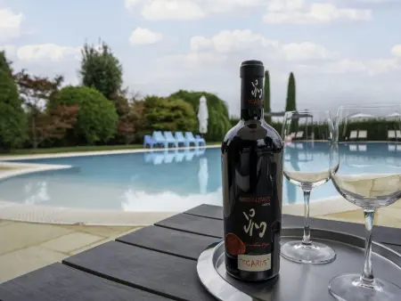 Villa Carlotta – Maison 8 pers. piscine privée Asti - Photo 38