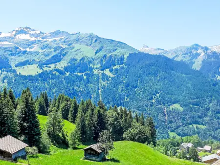 Wätterlücke, Chalet 7 personnes à Wengen - Photo 26