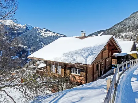 Wätterlücke, Chalet 7 personnes à Wengen - Photo 36